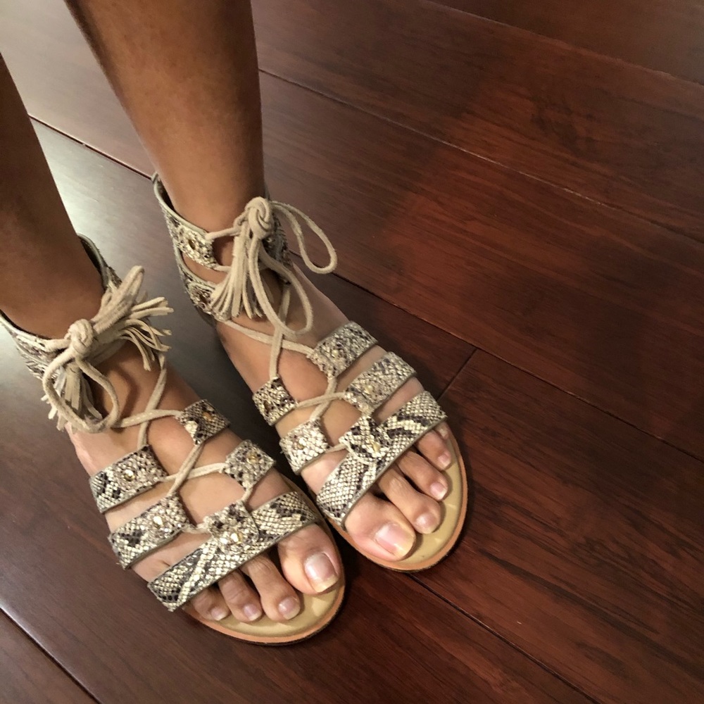 Aerosoles Faux Snakeskin Gladiator Sandal